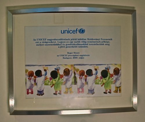 UNICEF Highest Distinction 2009